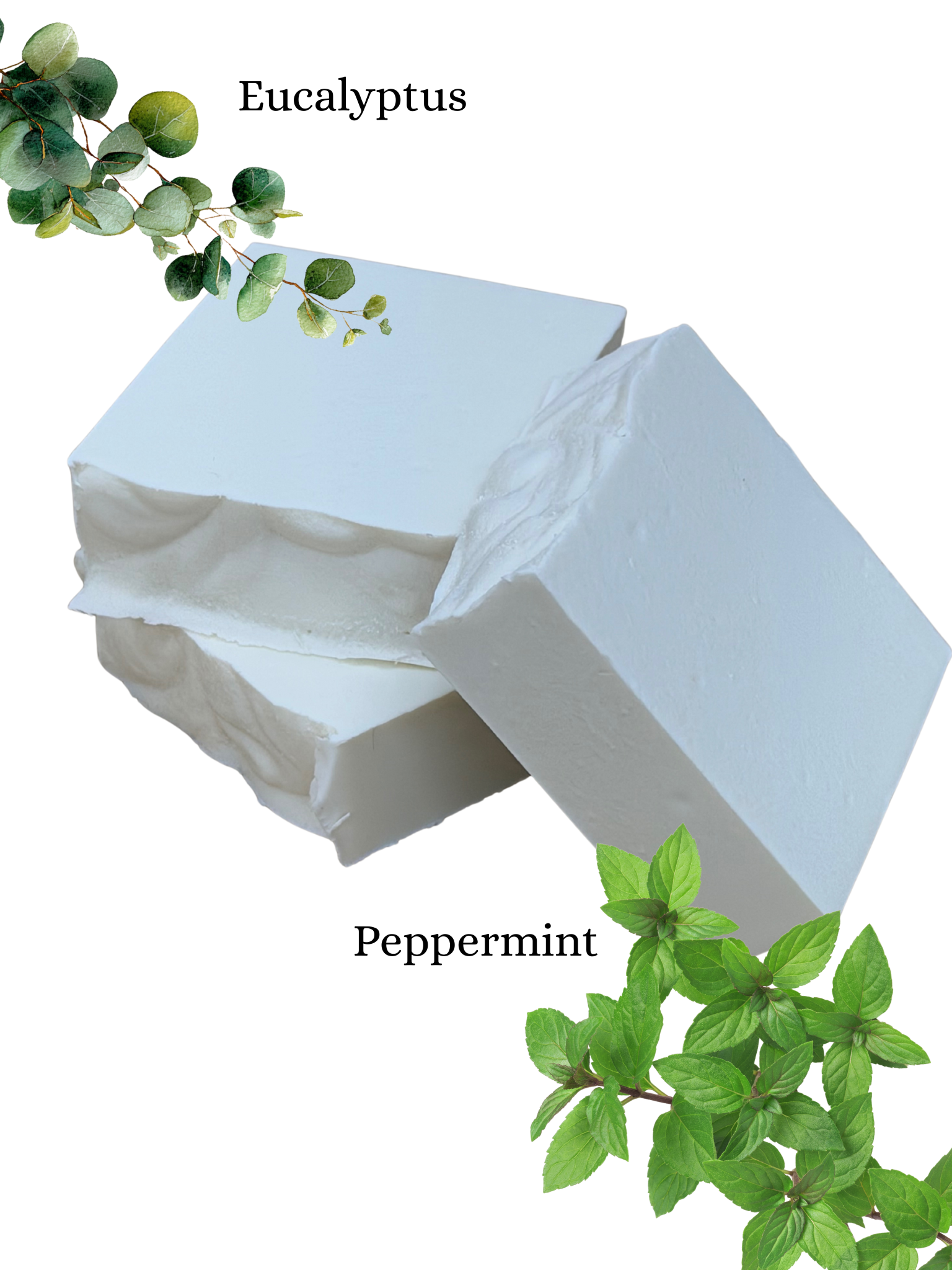 Eucalyptus & Peppermint Bar Soap