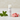 Peppermint Lip Balm with OB&B SKINCARE label
