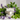 Stacked botanical